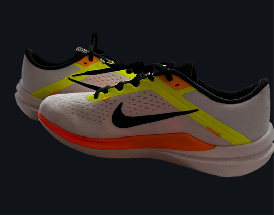 Nike Winflo 10